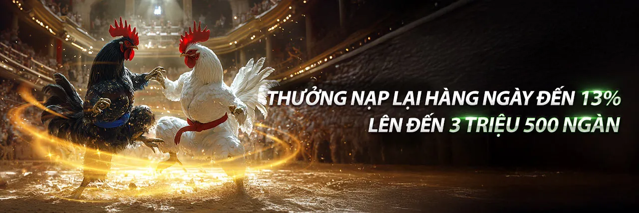 Bắn Cá 8kbet456 – Đại Dương Giải Trí